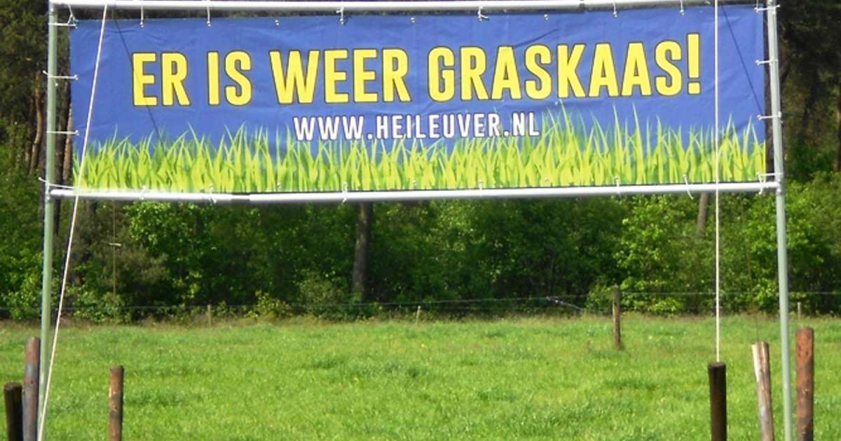 Graskaas