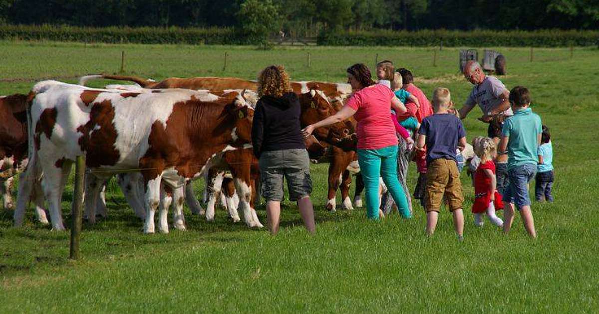 Vrijdag 16 september open dag melkveebedrijf familie Grondman Witharen