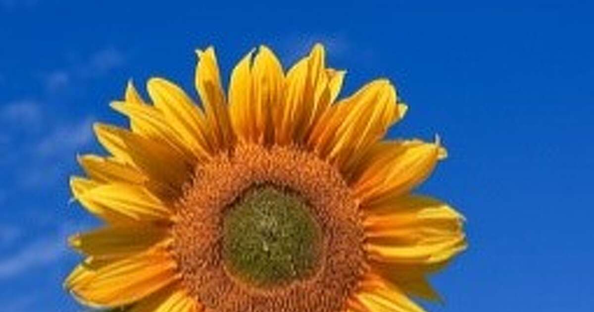 Vaartocht medewerkers én vrijwilligers Zonneboem
