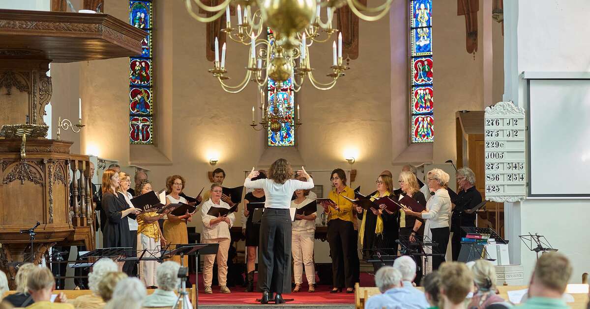 Landgoedconcert Vilsteren