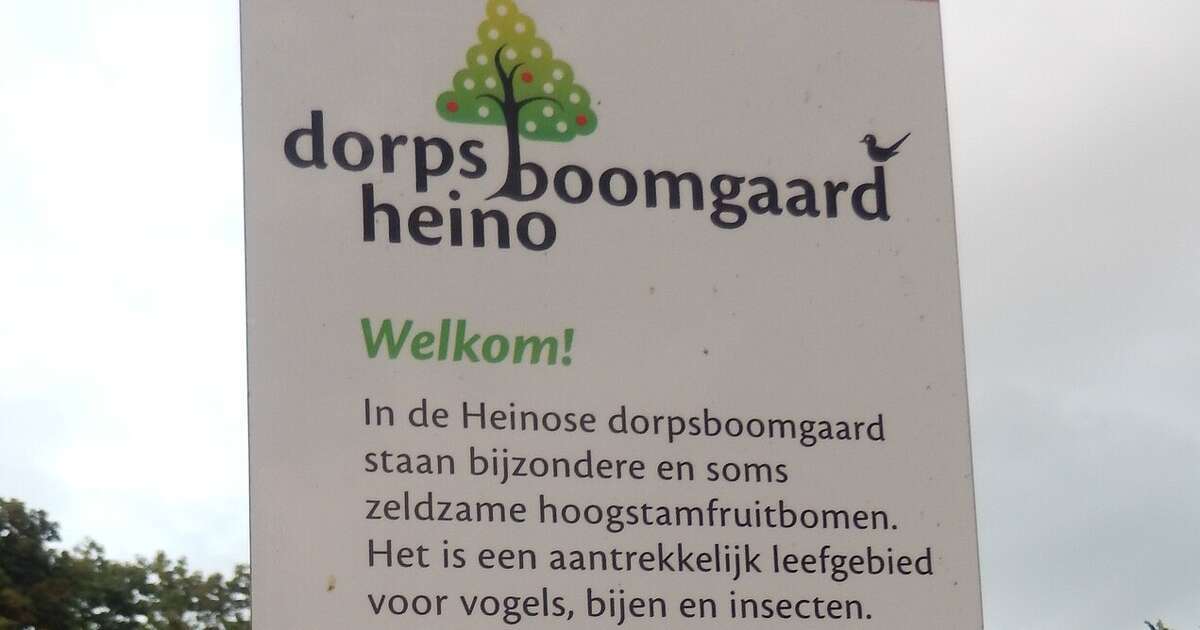 Inwoners van Heino zijn gewoon bofkonten