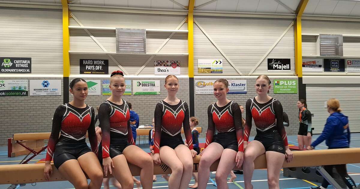 Turnsters gym. ver. Nieuwleusen presteren uitstekend