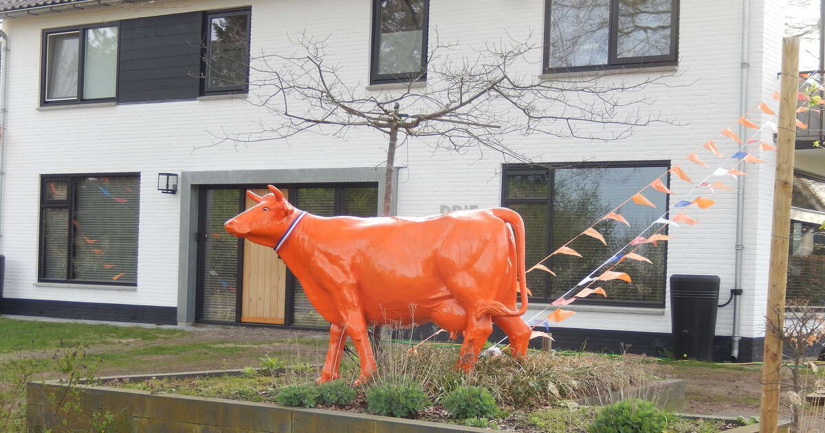 Oranjefeest Dalfsen 22 april