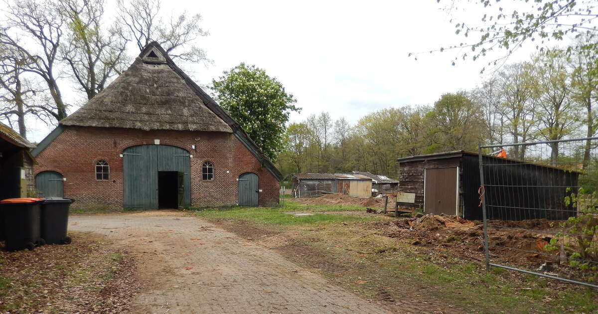 Niens gaat er korte metten mee maken