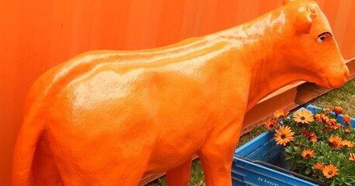 Vrijdag Voute Bingo + afterparty (vol geboekt)