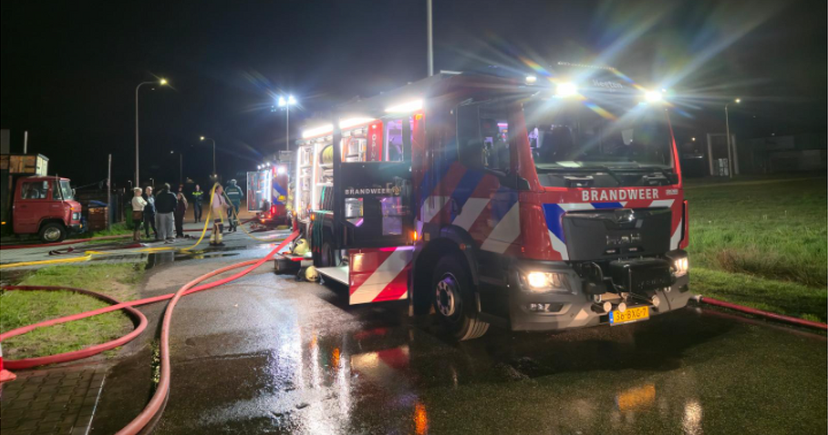 Geen Dalfser bericht maar toch: Help Ro-Enzo uit de brand