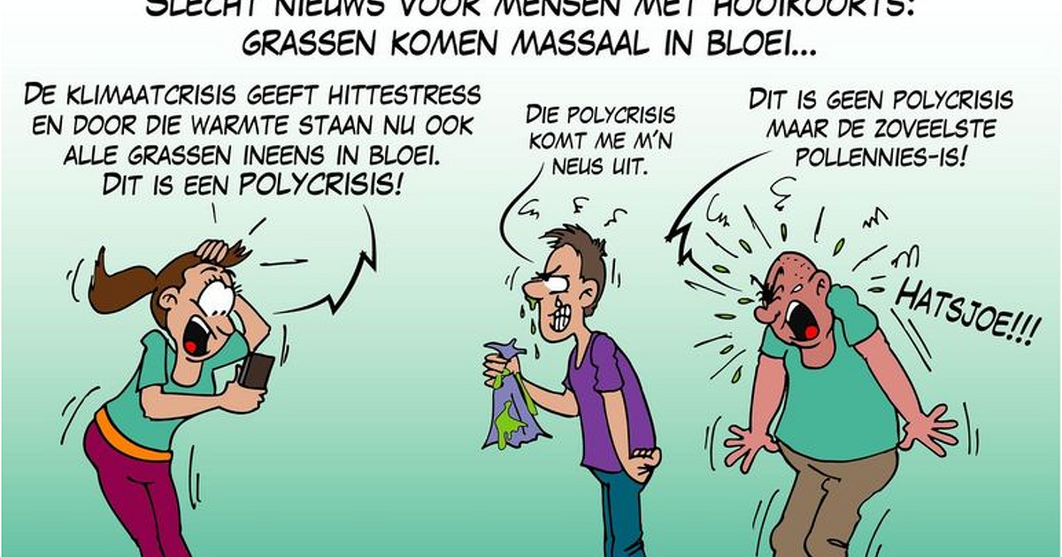 Pittige weken voor mensen gevoelig voor graspollen