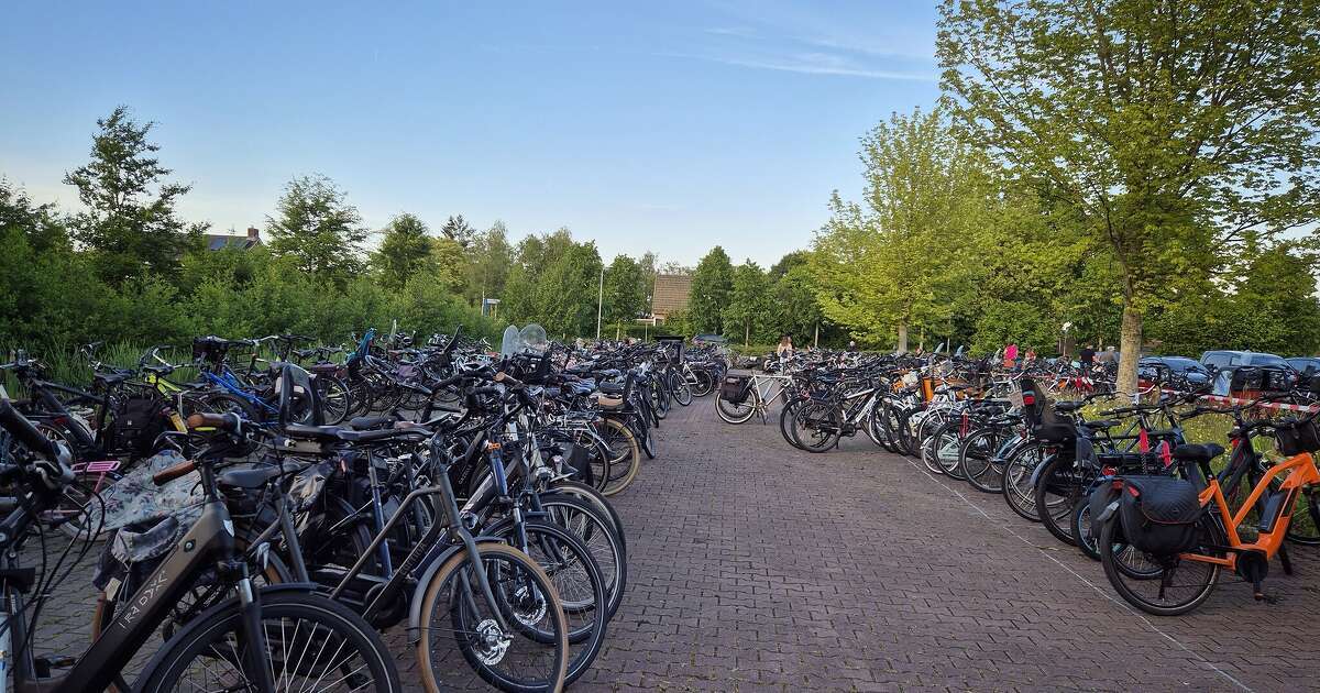 Prachtige slotavond avondwandel 4 daagse Nieuwleusen