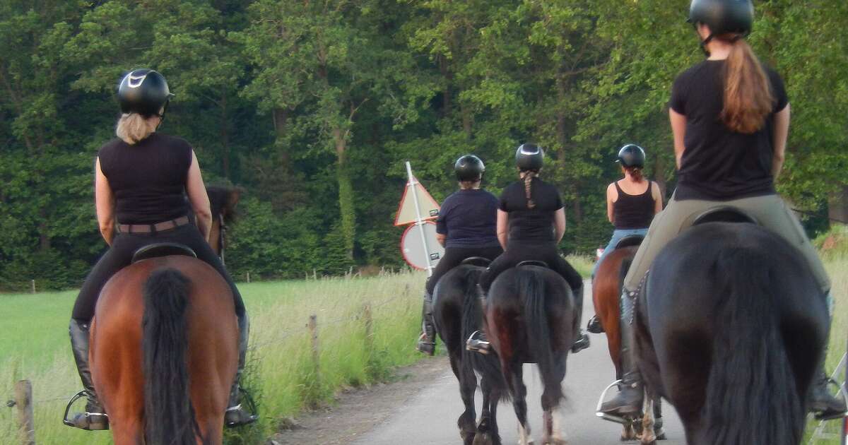 Even een avondrit