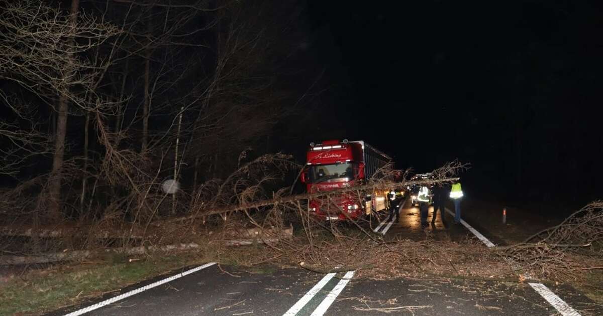Storm en noodweer: bijna honderd meldingen in IJsselland