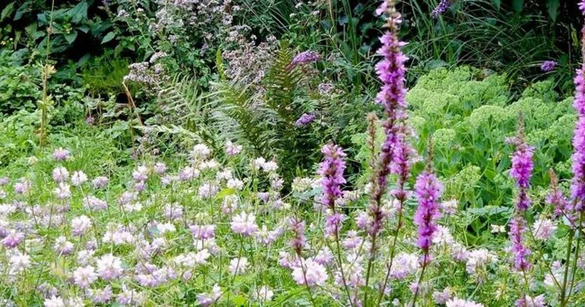 Je tuin als kroeg