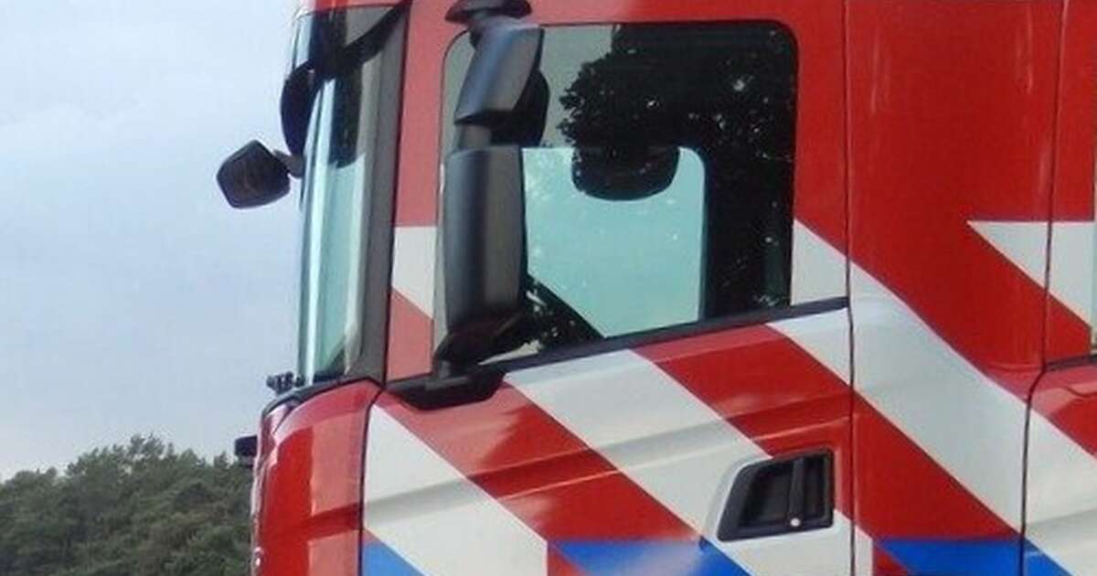 Grote bosbrand bij Punthorst