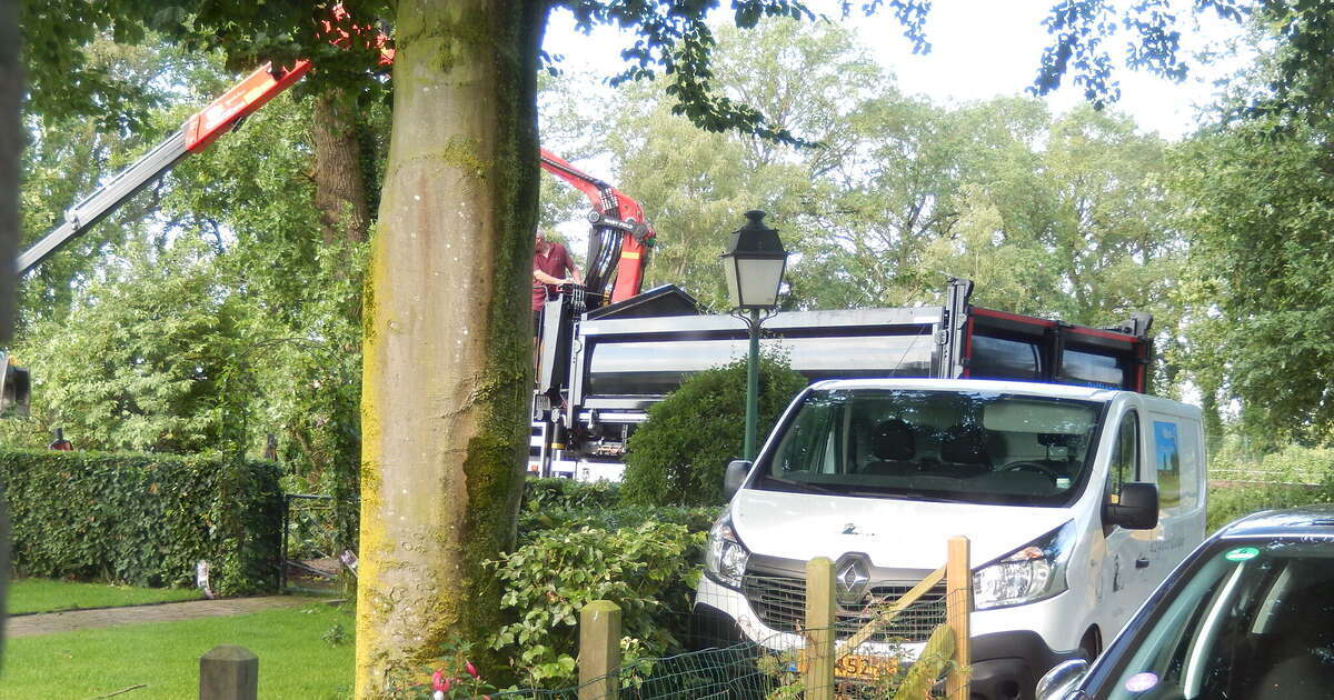 Brandweer met normale urgentie naar stormschade