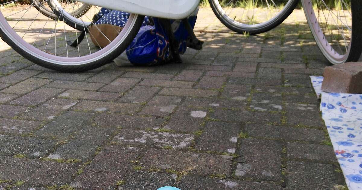 Gratis proeflessen Kinderatelier Dalfsen, Teken een 3D-illusie!