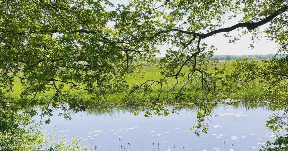 Nog 3 weekjes: De Vilsteren Bruist Landgoedwandeltocht!