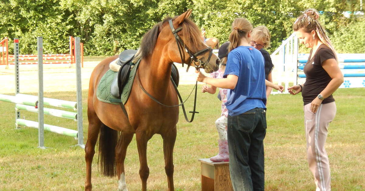 Veel belangstelling voor ponyrijden in Lemelerveld