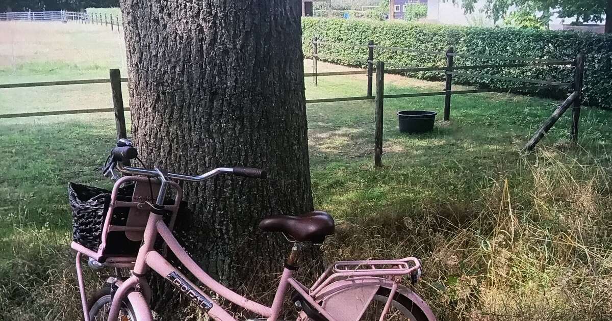 Een fiets