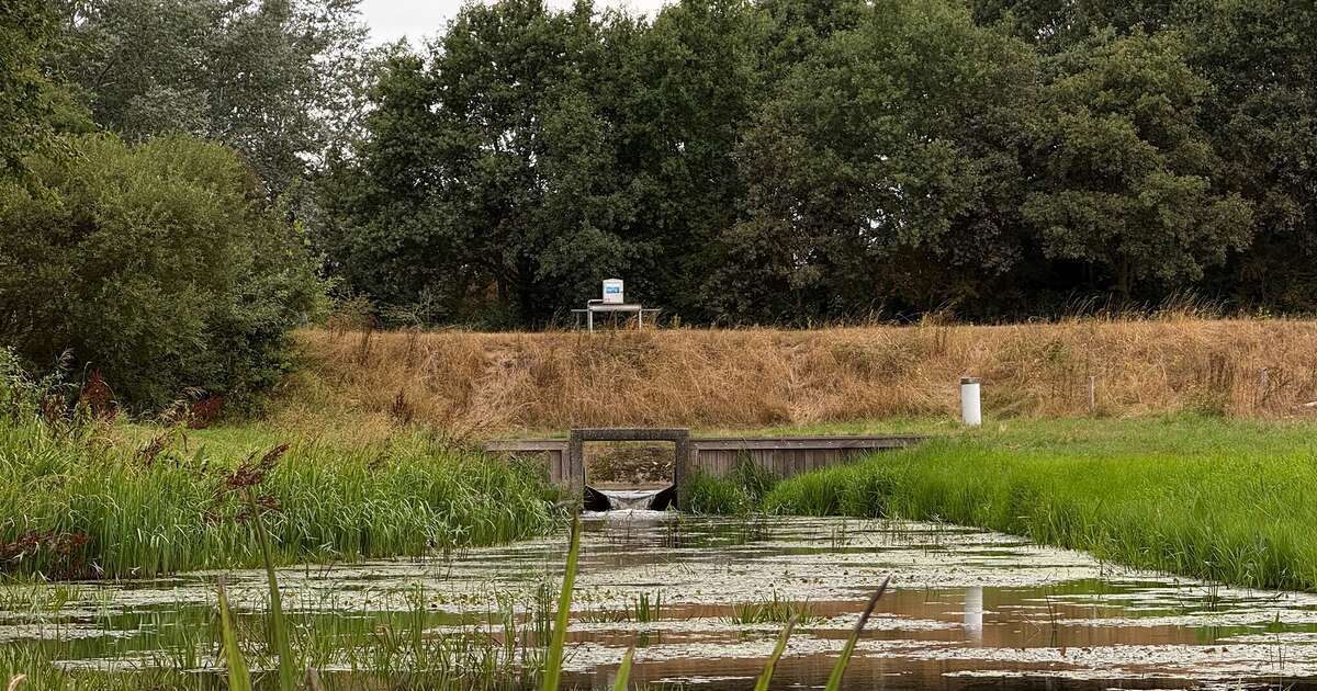 Over de droogte: De druk is een beetje van de ketel