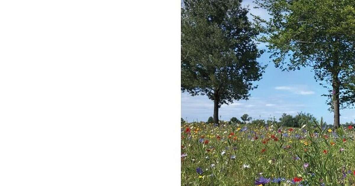 Er is een nieuw overlijdensbericht