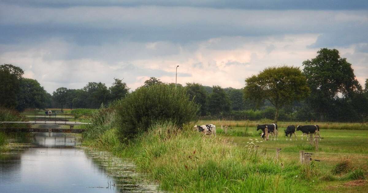 Fietsen en wandelen achter de Zonnehorst