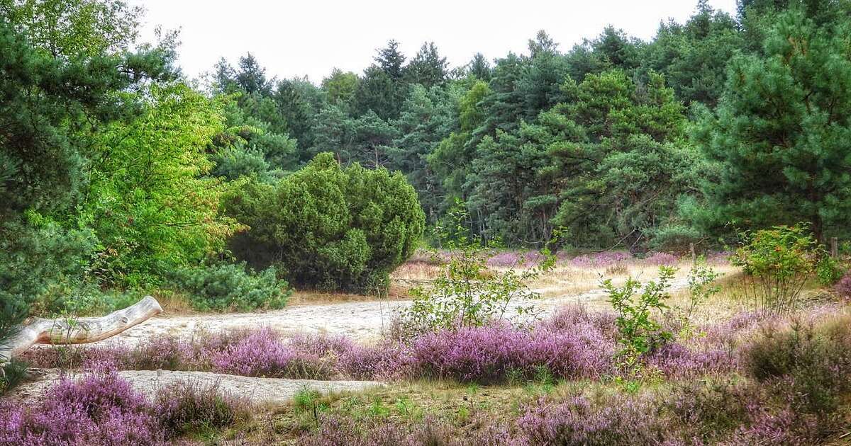 Natuurbegraafplaats: een en al natuur, prachtig