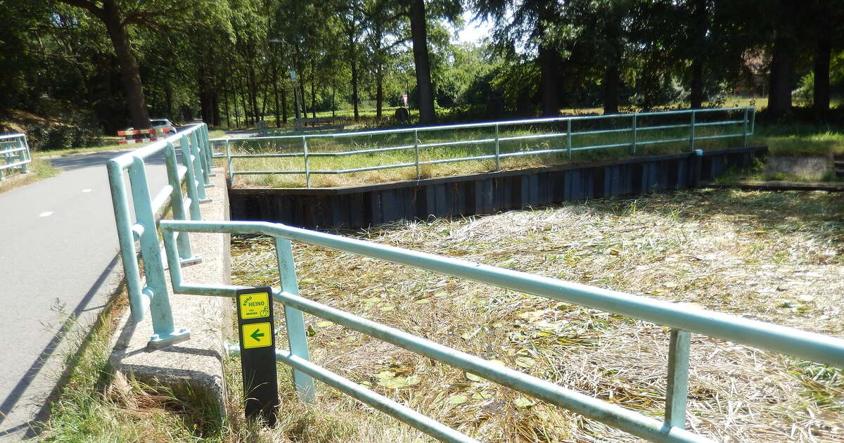 Overijsselkanaal op sommige plekken behoorlijk dichtgeslibd