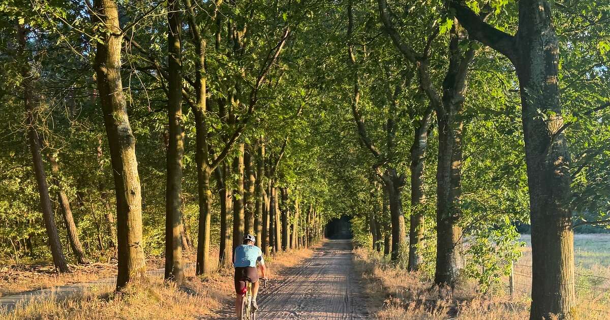 Deelnemers uit Dalfsen en omgeving gezocht