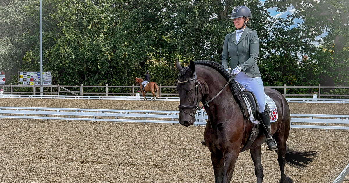Paardendressuur: elegantie en uitstraling!