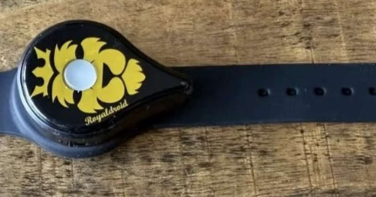Gevonden in de Plaatskamp