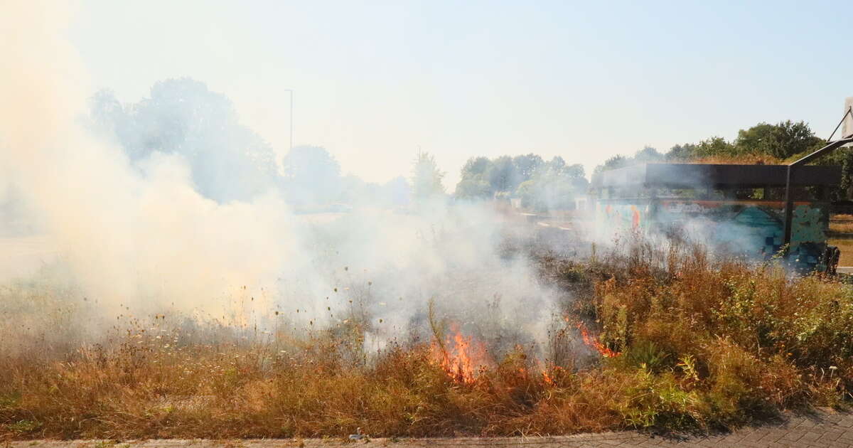 Twee meldingen kort na elkaar voor brandweer Nieuwleusen