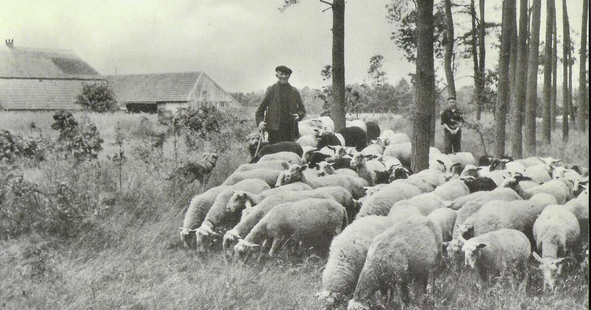 Bijeenkomst Senioren Lemelerveld