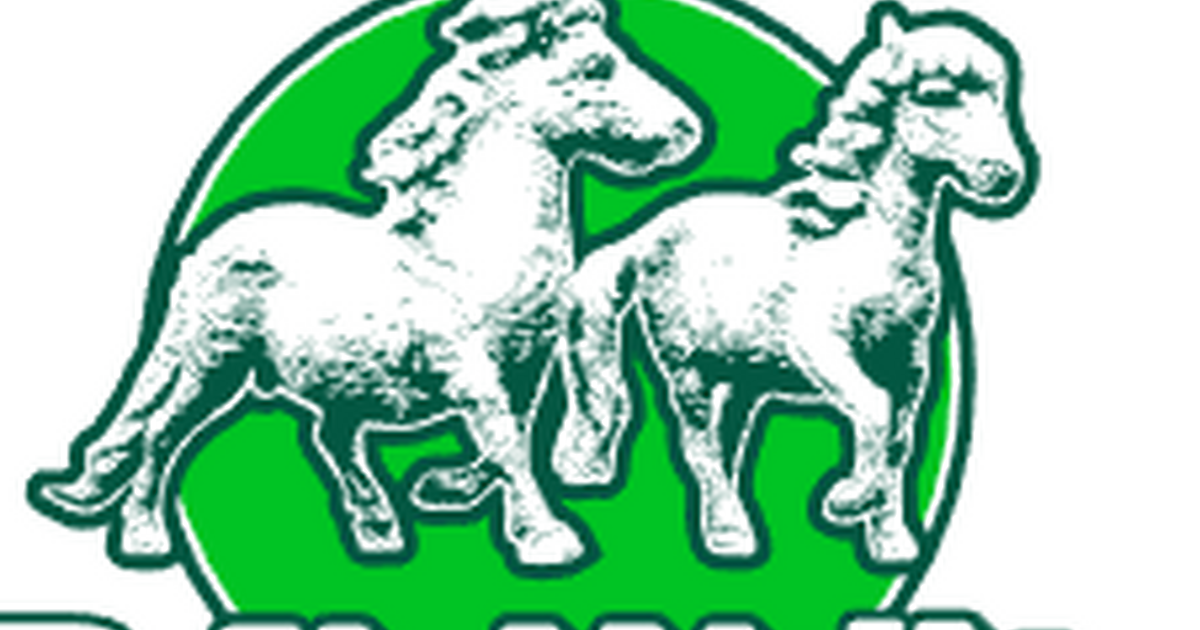 Volgende week is het weer Ponyweek in Heeten!