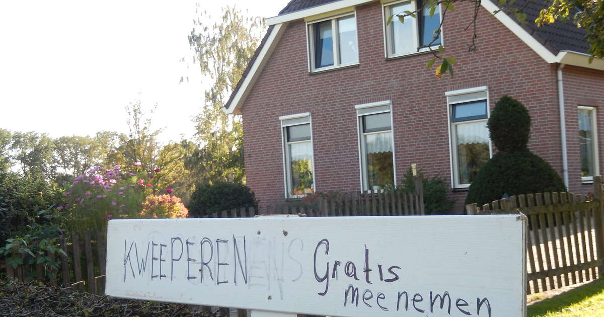 Mevrouw Bekedam heeft weer kweeperen