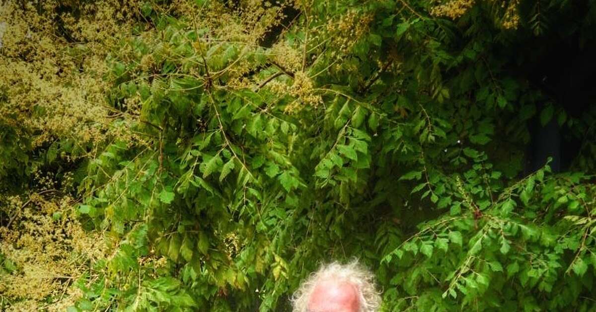 Open huis bij de kweker: een groen paradijs in Dalfsen