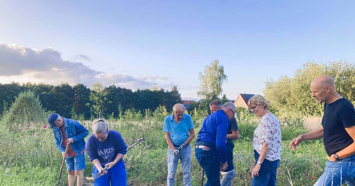 Aardappels rooien en/of afhalen in het voedselbos