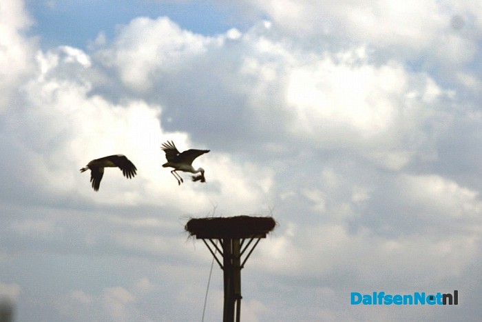 Toch ooievaars op het nest bij de brug ?