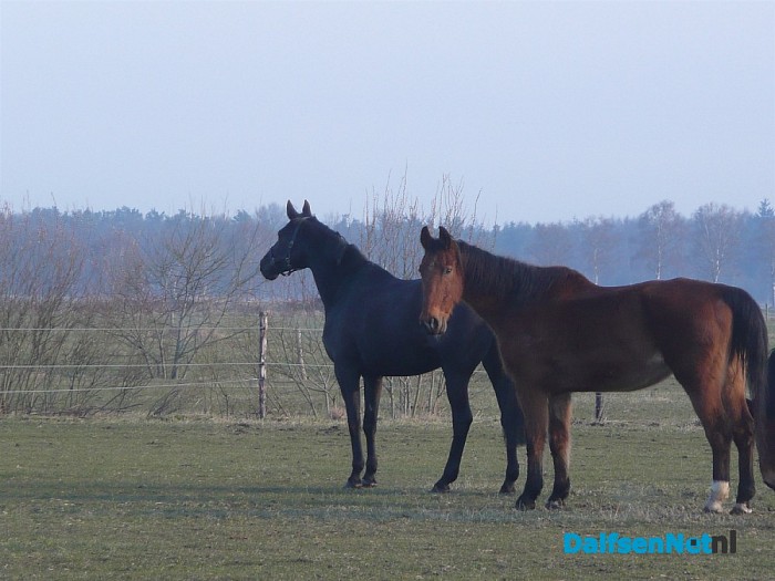 28 april kijk en doe dag bij olde manegepeerd.
