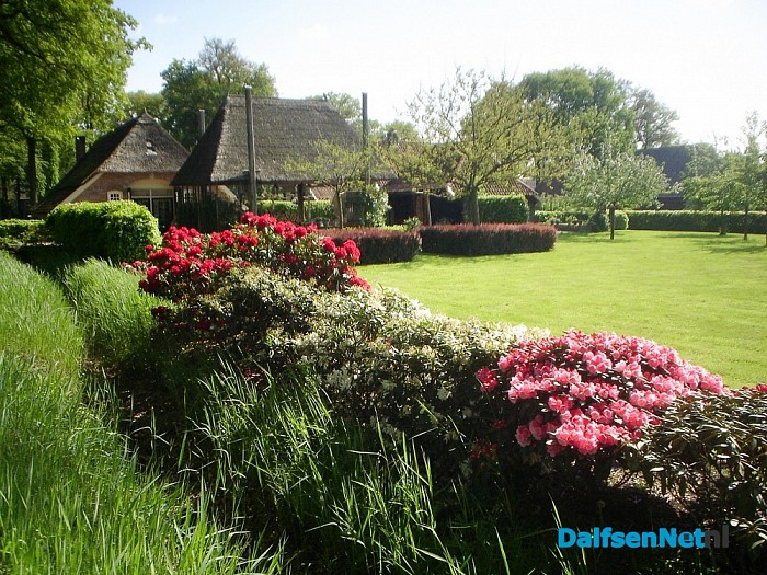 Rododendrons fleuren de boel wel op