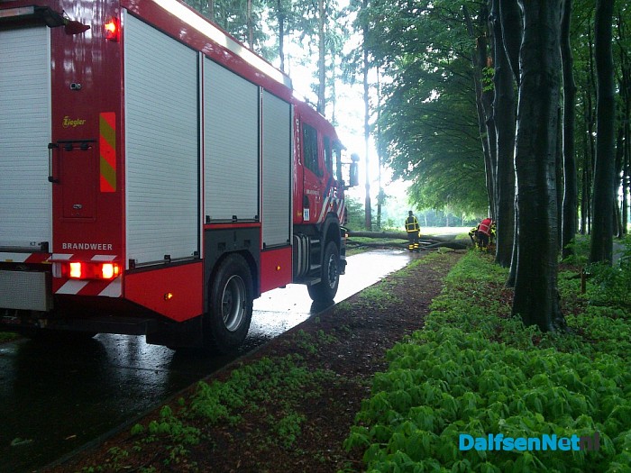 Toch nog stormschade - Foto: Robert Bril