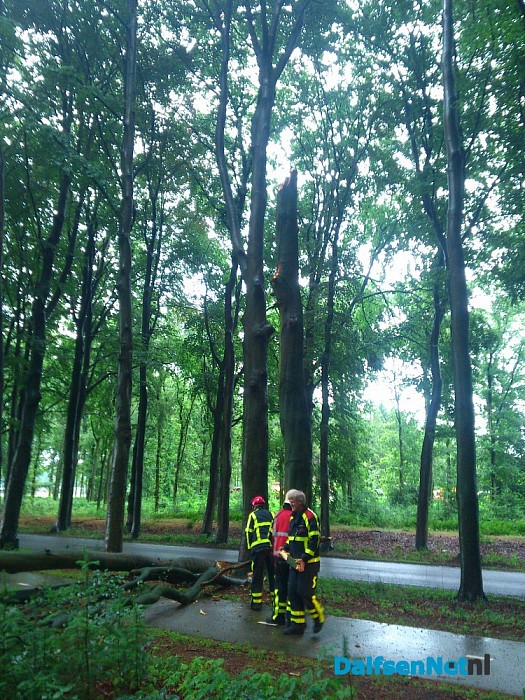 Toch nog stormschade - Foto: Robert Bril