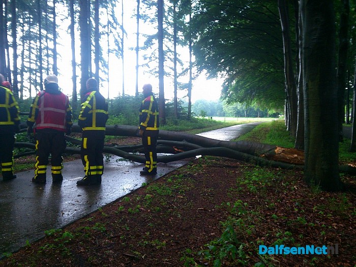 Toch nog stormschade - Foto: Robert Bril