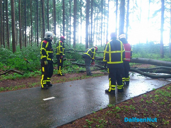 Toch nog stormschade - Foto: Robert Bril
