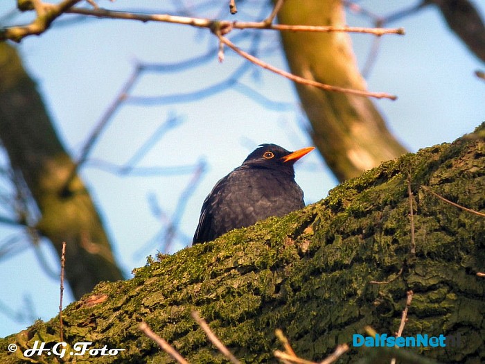 Weer een greep uit het H.G. foto archief. - Foto: H.G. Foto