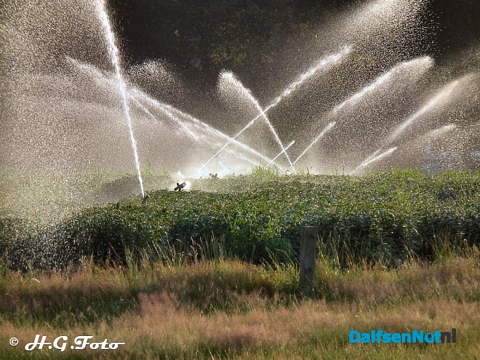 Drukte op het land. - Foto: H.G. Foto
