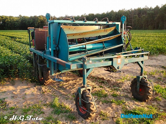 Drukte op het land. - Foto: H.G. Foto