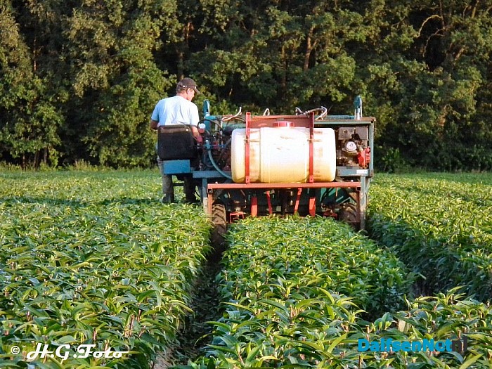 Drukte op het land. - Foto: H.G. Foto