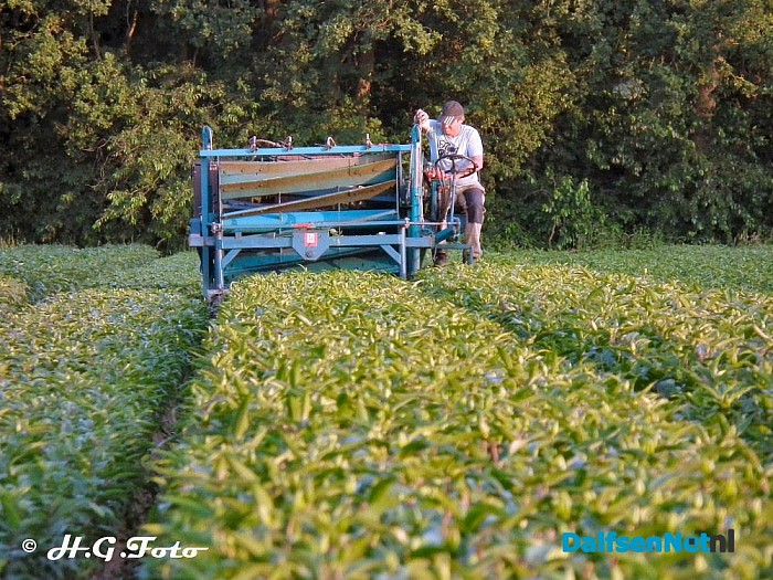 Drukte op het land. - Foto: H.G. Foto