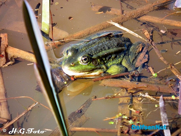 Weer een greep uit het H.G. foto archief. - Foto: H.G. Foto