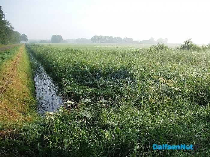 Ruimte voor de rivier
