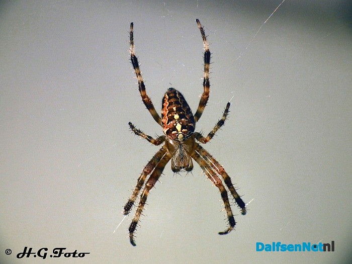 Weer een greep uit het H.G. foto archief. - Foto: H.G. Foto
